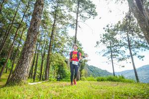 BIB: 
                            <button type="button" onclick="openModal(19288212)" class="btn btn-primary btn-sm float-right btn-popup" data-toggle="modal" data-target=".modal-high-quality">
                        <i class="fas fa-shopping-cart"></i> Add to Cart
                    </button>
                                            <button type="button" onclick="isThisMe(19288212, true)" class="btn btn-success btn-sm float-right btn-popup btn-isme hidden" data-toggle="tooltip" data-placement="bottom" title="นี่คือรูปของคุณใช่ไหม คลิกที่นี่เพื่อเอาเข้าอัลบั้ม">
                        <i class="fas fa-plus"></i> Add to album
                    </button>
                    <button type="button" onclick="isThisMe(19288212, false)" class="btn btn-warning btn-sm float-right btn-popup btn-isnotme hidden">
                        <i class="fas fa-ban"></i> Remove from album
                    </button>