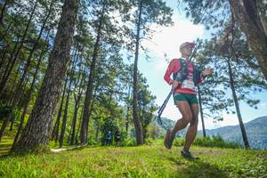 BIB: 
                            <button type="button" onclick="openModal(19282860)" class="btn btn-primary btn-sm float-right btn-popup" data-toggle="modal" data-target=".modal-high-quality">
                        <i class="fas fa-shopping-cart"></i> Add to Cart
                    </button>
                                            <button type="button" onclick="isThisMe(19282860, true)" class="btn btn-success btn-sm float-right btn-popup btn-isme hidden" data-toggle="tooltip" data-placement="bottom" title="นี่คือรูปของคุณใช่ไหม คลิกที่นี่เพื่อเอาเข้าอัลบั้ม">
                        <i class="fas fa-plus"></i> Add to album
                    </button>
                    <button type="button" onclick="isThisMe(19282860, false)" class="btn btn-warning btn-sm float-right btn-popup btn-isnotme hidden">
                        <i class="fas fa-ban"></i> Remove from album
                    </button>