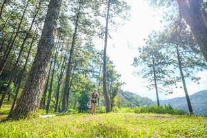 BIB: 
                            <button type="button" onclick="openModal(19285798)" class="btn btn-primary btn-sm float-right btn-popup" data-toggle="modal" data-target=".modal-high-quality">
                        <i class="fas fa-shopping-cart"></i> Add to Cart
                    </button>
                                            <button type="button" onclick="isThisMe(19285798, true)" class="btn btn-success btn-sm float-right btn-popup btn-isme hidden" data-toggle="tooltip" data-placement="bottom" title="นี่คือรูปของคุณใช่ไหม คลิกที่นี่เพื่อเอาเข้าอัลบั้ม">
                        <i class="fas fa-plus"></i> Add to album
                    </button>
                    <button type="button" onclick="isThisMe(19285798, false)" class="btn btn-warning btn-sm float-right btn-popup btn-isnotme hidden">
                        <i class="fas fa-ban"></i> Remove from album
                    </button>