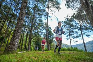 BIB: 
                            <button type="button" onclick="openModal(19284922)" class="btn btn-primary btn-sm float-right btn-popup" data-toggle="modal" data-target=".modal-high-quality">
                        <i class="fas fa-shopping-cart"></i> Add to Cart
                    </button>
                                            <button type="button" onclick="isThisMe(19284922, true)" class="btn btn-success btn-sm float-right btn-popup btn-isme hidden" data-toggle="tooltip" data-placement="bottom" title="นี่คือรูปของคุณใช่ไหม คลิกที่นี่เพื่อเอาเข้าอัลบั้ม">
                        <i class="fas fa-plus"></i> Add to album
                    </button>
                    <button type="button" onclick="isThisMe(19284922, false)" class="btn btn-warning btn-sm float-right btn-popup btn-isnotme hidden">
                        <i class="fas fa-ban"></i> Remove from album
                    </button>