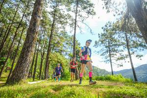 BIB: 
                            <button type="button" onclick="openModal(19290886)" class="btn btn-primary btn-sm float-right btn-popup" data-toggle="modal" data-target=".modal-high-quality">
                        <i class="fas fa-shopping-cart"></i> Add to Cart
                    </button>
                                            <button type="button" onclick="isThisMe(19290886, true)" class="btn btn-success btn-sm float-right btn-popup btn-isme hidden" data-toggle="tooltip" data-placement="bottom" title="นี่คือรูปของคุณใช่ไหม คลิกที่นี่เพื่อเอาเข้าอัลบั้ม">
                        <i class="fas fa-plus"></i> Add to album
                    </button>
                    <button type="button" onclick="isThisMe(19290886, false)" class="btn btn-warning btn-sm float-right btn-popup btn-isnotme hidden">
                        <i class="fas fa-ban"></i> Remove from album
                    </button>