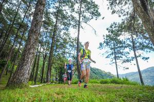 BIB: 
                            <button type="button" onclick="openModal(19288040)" class="btn btn-primary btn-sm float-right btn-popup" data-toggle="modal" data-target=".modal-high-quality">
                        <i class="fas fa-shopping-cart"></i> Add to Cart
                    </button>
                                            <button type="button" onclick="isThisMe(19288040, true)" class="btn btn-success btn-sm float-right btn-popup btn-isme hidden" data-toggle="tooltip" data-placement="bottom" title="นี่คือรูปของคุณใช่ไหม คลิกที่นี่เพื่อเอาเข้าอัลบั้ม">
                        <i class="fas fa-plus"></i> Add to album
                    </button>
                    <button type="button" onclick="isThisMe(19288040, false)" class="btn btn-warning btn-sm float-right btn-popup btn-isnotme hidden">
                        <i class="fas fa-ban"></i> Remove from album
                    </button>