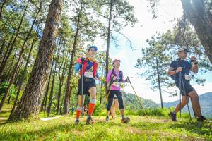 BIB: 
                            <button type="button" onclick="openModal(19290032)" class="btn btn-primary btn-sm float-right btn-popup" data-toggle="modal" data-target=".modal-high-quality">
                        <i class="fas fa-shopping-cart"></i> Add to Cart
                    </button>
                                            <button type="button" onclick="isThisMe(19290032, true)" class="btn btn-success btn-sm float-right btn-popup btn-isme hidden" data-toggle="tooltip" data-placement="bottom" title="นี่คือรูปของคุณใช่ไหม คลิกที่นี่เพื่อเอาเข้าอัลบั้ม">
                        <i class="fas fa-plus"></i> Add to album
                    </button>
                    <button type="button" onclick="isThisMe(19290032, false)" class="btn btn-warning btn-sm float-right btn-popup btn-isnotme hidden">
                        <i class="fas fa-ban"></i> Remove from album
                    </button>