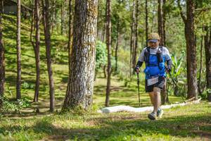 BIB: 384
                            <button type="button" onclick="openModal(19291900)" class="btn btn-primary btn-sm float-right btn-popup" data-toggle="modal" data-target=".modal-high-quality">
                        <i class="fas fa-shopping-cart"></i> Add to Cart
                    </button>
                                            <button type="button" onclick="isThisMe(19291900, true)" class="btn btn-success btn-sm float-right btn-popup btn-isme hidden" data-toggle="tooltip" data-placement="bottom" title="นี่คือรูปของคุณใช่ไหม คลิกที่นี่เพื่อเอาเข้าอัลบั้ม">
                        <i class="fas fa-plus"></i> Add to album
                    </button>
                    <button type="button" onclick="isThisMe(19291900, false)" class="btn btn-warning btn-sm float-right btn-popup btn-isnotme hidden">
                        <i class="fas fa-ban"></i> Remove from album
                    </button>