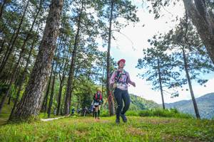 BIB: 
                            <button type="button" onclick="openModal(19290133)" class="btn btn-primary btn-sm float-right btn-popup" data-toggle="modal" data-target=".modal-high-quality">
                        <i class="fas fa-shopping-cart"></i> Add to Cart
                    </button>
                                            <button type="button" onclick="isThisMe(19290133, true)" class="btn btn-success btn-sm float-right btn-popup btn-isme hidden" data-toggle="tooltip" data-placement="bottom" title="นี่คือรูปของคุณใช่ไหม คลิกที่นี่เพื่อเอาเข้าอัลบั้ม">
                        <i class="fas fa-plus"></i> Add to album
                    </button>
                    <button type="button" onclick="isThisMe(19290133, false)" class="btn btn-warning btn-sm float-right btn-popup btn-isnotme hidden">
                        <i class="fas fa-ban"></i> Remove from album
                    </button>