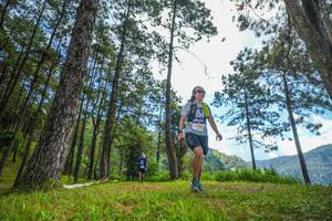 BIB: 5500
                            <button type="button" onclick="openModal(19287260)" class="btn btn-primary btn-sm float-right btn-popup" data-toggle="modal" data-target=".modal-high-quality">
                        <i class="fas fa-shopping-cart"></i> Add to Cart
                    </button>
                                            <button type="button" onclick="isThisMe(19287260, true)" class="btn btn-success btn-sm float-right btn-popup btn-isme hidden" data-toggle="tooltip" data-placement="bottom" title="นี่คือรูปของคุณใช่ไหม คลิกที่นี่เพื่อเอาเข้าอัลบั้ม">
                        <i class="fas fa-plus"></i> Add to album
                    </button>
                    <button type="button" onclick="isThisMe(19287260, false)" class="btn btn-warning btn-sm float-right btn-popup btn-isnotme hidden">
                        <i class="fas fa-ban"></i> Remove from album
                    </button>