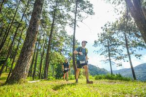 BIB: 
                            <button type="button" onclick="openModal(19287294)" class="btn btn-primary btn-sm float-right btn-popup" data-toggle="modal" data-target=".modal-high-quality">
                        <i class="fas fa-shopping-cart"></i> Add to Cart
                    </button>
                                            <button type="button" onclick="isThisMe(19287294, true)" class="btn btn-success btn-sm float-right btn-popup btn-isme hidden" data-toggle="tooltip" data-placement="bottom" title="นี่คือรูปของคุณใช่ไหม คลิกที่นี่เพื่อเอาเข้าอัลบั้ม">
                        <i class="fas fa-plus"></i> Add to album
                    </button>
                    <button type="button" onclick="isThisMe(19287294, false)" class="btn btn-warning btn-sm float-right btn-popup btn-isnotme hidden">
                        <i class="fas fa-ban"></i> Remove from album
                    </button>