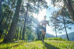 BIB: 
                            <button type="button" onclick="openModal(19280059)" class="btn btn-primary btn-sm float-right btn-popup" data-toggle="modal" data-target=".modal-high-quality">
                        <i class="fas fa-shopping-cart"></i> Add to Cart
                    </button>
                                            <button type="button" onclick="isThisMe(19280059, true)" class="btn btn-success btn-sm float-right btn-popup btn-isme hidden" data-toggle="tooltip" data-placement="bottom" title="นี่คือรูปของคุณใช่ไหม คลิกที่นี่เพื่อเอาเข้าอัลบั้ม">
                        <i class="fas fa-plus"></i> Add to album
                    </button>
                    <button type="button" onclick="isThisMe(19280059, false)" class="btn btn-warning btn-sm float-right btn-popup btn-isnotme hidden">
                        <i class="fas fa-ban"></i> Remove from album
                    </button>