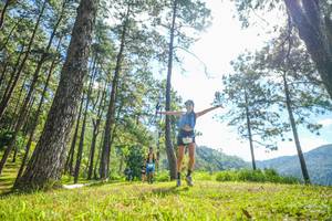 BIB: 
                            <button type="button" onclick="openModal(19283943)" class="btn btn-primary btn-sm float-right btn-popup" data-toggle="modal" data-target=".modal-high-quality">
                        <i class="fas fa-shopping-cart"></i> Add to Cart
                    </button>
                                            <button type="button" onclick="isThisMe(19283943, true)" class="btn btn-success btn-sm float-right btn-popup btn-isme hidden" data-toggle="tooltip" data-placement="bottom" title="นี่คือรูปของคุณใช่ไหม คลิกที่นี่เพื่อเอาเข้าอัลบั้ม">
                        <i class="fas fa-plus"></i> Add to album
                    </button>
                    <button type="button" onclick="isThisMe(19283943, false)" class="btn btn-warning btn-sm float-right btn-popup btn-isnotme hidden">
                        <i class="fas fa-ban"></i> Remove from album
                    </button>