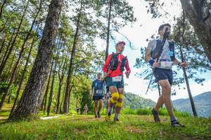 BIB: 5654
                            <button type="button" onclick="openModal(19290062)" class="btn btn-primary btn-sm float-right btn-popup" data-toggle="modal" data-target=".modal-high-quality">
                        <i class="fas fa-shopping-cart"></i> Add to Cart
                    </button>
                                            <button type="button" onclick="isThisMe(19290062, true)" class="btn btn-success btn-sm float-right btn-popup btn-isme hidden" data-toggle="tooltip" data-placement="bottom" title="นี่คือรูปของคุณใช่ไหม คลิกที่นี่เพื่อเอาเข้าอัลบั้ม">
                        <i class="fas fa-plus"></i> Add to album
                    </button>
                    <button type="button" onclick="isThisMe(19290062, false)" class="btn btn-warning btn-sm float-right btn-popup btn-isnotme hidden">
                        <i class="fas fa-ban"></i> Remove from album
                    </button>