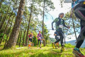 BIB: 
                            <button type="button" onclick="openModal(19290028)" class="btn btn-primary btn-sm float-right btn-popup" data-toggle="modal" data-target=".modal-high-quality">
                        <i class="fas fa-shopping-cart"></i> Add to Cart
                    </button>
                                            <button type="button" onclick="isThisMe(19290028, true)" class="btn btn-success btn-sm float-right btn-popup btn-isme hidden" data-toggle="tooltip" data-placement="bottom" title="นี่คือรูปของคุณใช่ไหม คลิกที่นี่เพื่อเอาเข้าอัลบั้ม">
                        <i class="fas fa-plus"></i> Add to album
                    </button>
                    <button type="button" onclick="isThisMe(19290028, false)" class="btn btn-warning btn-sm float-right btn-popup btn-isnotme hidden">
                        <i class="fas fa-ban"></i> Remove from album
                    </button>