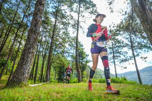 BIB: 590
                            <button type="button" onclick="openModal(19288706)" class="btn btn-primary btn-sm float-right btn-popup" data-toggle="modal" data-target=".modal-high-quality">
                        <i class="fas fa-shopping-cart"></i> Add to Cart
                    </button>
                                            <button type="button" onclick="isThisMe(19288706, true)" class="btn btn-success btn-sm float-right btn-popup btn-isme hidden" data-toggle="tooltip" data-placement="bottom" title="นี่คือรูปของคุณใช่ไหม คลิกที่นี่เพื่อเอาเข้าอัลบั้ม">
                        <i class="fas fa-plus"></i> Add to album
                    </button>
                    <button type="button" onclick="isThisMe(19288706, false)" class="btn btn-warning btn-sm float-right btn-popup btn-isnotme hidden">
                        <i class="fas fa-ban"></i> Remove from album
                    </button>