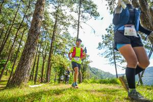 BIB: 550
                            <button type="button" onclick="openModal(19289814)" class="btn btn-primary btn-sm float-right btn-popup" data-toggle="modal" data-target=".modal-high-quality">
                        <i class="fas fa-shopping-cart"></i> Add to Cart
                    </button>
                                            <button type="button" onclick="isThisMe(19289814, true)" class="btn btn-success btn-sm float-right btn-popup btn-isme hidden" data-toggle="tooltip" data-placement="bottom" title="นี่คือรูปของคุณใช่ไหม คลิกที่นี่เพื่อเอาเข้าอัลบั้ม">
                        <i class="fas fa-plus"></i> Add to album
                    </button>
                    <button type="button" onclick="isThisMe(19289814, false)" class="btn btn-warning btn-sm float-right btn-popup btn-isnotme hidden">
                        <i class="fas fa-ban"></i> Remove from album
                    </button>