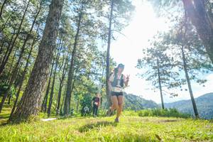 BIB: 
                            <button type="button" onclick="openModal(19285182)" class="btn btn-primary btn-sm float-right btn-popup" data-toggle="modal" data-target=".modal-high-quality">
                        <i class="fas fa-shopping-cart"></i> Add to Cart
                    </button>
                                            <button type="button" onclick="isThisMe(19285182, true)" class="btn btn-success btn-sm float-right btn-popup btn-isme hidden" data-toggle="tooltip" data-placement="bottom" title="นี่คือรูปของคุณใช่ไหม คลิกที่นี่เพื่อเอาเข้าอัลบั้ม">
                        <i class="fas fa-plus"></i> Add to album
                    </button>
                    <button type="button" onclick="isThisMe(19285182, false)" class="btn btn-warning btn-sm float-right btn-popup btn-isnotme hidden">
                        <i class="fas fa-ban"></i> Remove from album
                    </button>