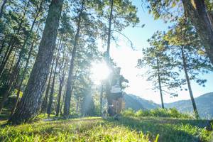 BIB: 
                            <button type="button" onclick="openModal(19278711)" class="btn btn-primary btn-sm float-right btn-popup" data-toggle="modal" data-target=".modal-high-quality">
                        <i class="fas fa-shopping-cart"></i> Add to Cart
                    </button>
                                            <button type="button" onclick="isThisMe(19278711, true)" class="btn btn-success btn-sm float-right btn-popup btn-isme hidden" data-toggle="tooltip" data-placement="bottom" title="นี่คือรูปของคุณใช่ไหม คลิกที่นี่เพื่อเอาเข้าอัลบั้ม">
                        <i class="fas fa-plus"></i> Add to album
                    </button>
                    <button type="button" onclick="isThisMe(19278711, false)" class="btn btn-warning btn-sm float-right btn-popup btn-isnotme hidden">
                        <i class="fas fa-ban"></i> Remove from album
                    </button>