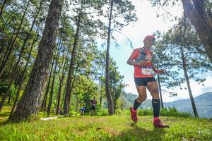 BIB: 5830
                            <button type="button" onclick="openModal(19286839)" class="btn btn-primary btn-sm float-right btn-popup" data-toggle="modal" data-target=".modal-high-quality">
                        <i class="fas fa-shopping-cart"></i> Add to Cart
                    </button>
                                            <button type="button" onclick="isThisMe(19286839, true)" class="btn btn-success btn-sm float-right btn-popup btn-isme hidden" data-toggle="tooltip" data-placement="bottom" title="นี่คือรูปของคุณใช่ไหม คลิกที่นี่เพื่อเอาเข้าอัลบั้ม">
                        <i class="fas fa-plus"></i> Add to album
                    </button>
                    <button type="button" onclick="isThisMe(19286839, false)" class="btn btn-warning btn-sm float-right btn-popup btn-isnotme hidden">
                        <i class="fas fa-ban"></i> Remove from album
                    </button>