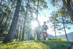 BIB: 
                            <button type="button" onclick="openModal(19278865)" class="btn btn-primary btn-sm float-right btn-popup" data-toggle="modal" data-target=".modal-high-quality">
                        <i class="fas fa-shopping-cart"></i> Add to Cart
                    </button>
                                            <button type="button" onclick="isThisMe(19278865, true)" class="btn btn-success btn-sm float-right btn-popup btn-isme hidden" data-toggle="tooltip" data-placement="bottom" title="นี่คือรูปของคุณใช่ไหม คลิกที่นี่เพื่อเอาเข้าอัลบั้ม">
                        <i class="fas fa-plus"></i> Add to album
                    </button>
                    <button type="button" onclick="isThisMe(19278865, false)" class="btn btn-warning btn-sm float-right btn-popup btn-isnotme hidden">
                        <i class="fas fa-ban"></i> Remove from album
                    </button>