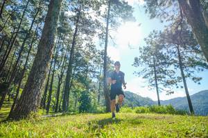 BIB: 
                            <button type="button" onclick="openModal(19281360)" class="btn btn-primary btn-sm float-right btn-popup" data-toggle="modal" data-target=".modal-high-quality">
                        <i class="fas fa-shopping-cart"></i> Add to Cart
                    </button>
                                            <button type="button" onclick="isThisMe(19281360, true)" class="btn btn-success btn-sm float-right btn-popup btn-isme hidden" data-toggle="tooltip" data-placement="bottom" title="นี่คือรูปของคุณใช่ไหม คลิกที่นี่เพื่อเอาเข้าอัลบั้ม">
                        <i class="fas fa-plus"></i> Add to album
                    </button>
                    <button type="button" onclick="isThisMe(19281360, false)" class="btn btn-warning btn-sm float-right btn-popup btn-isnotme hidden">
                        <i class="fas fa-ban"></i> Remove from album
                    </button>