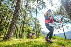 BIB: 
                            <button type="button" onclick="openModal(19289171)" class="btn btn-primary btn-sm float-right btn-popup" data-toggle="modal" data-target=".modal-high-quality">
                        <i class="fas fa-shopping-cart"></i> Add to Cart
                    </button>
                                            <button type="button" onclick="isThisMe(19289171, true)" class="btn btn-success btn-sm float-right btn-popup btn-isme hidden" data-toggle="tooltip" data-placement="bottom" title="นี่คือรูปของคุณใช่ไหม คลิกที่นี่เพื่อเอาเข้าอัลบั้ม">
                        <i class="fas fa-plus"></i> Add to album
                    </button>
                    <button type="button" onclick="isThisMe(19289171, false)" class="btn btn-warning btn-sm float-right btn-popup btn-isnotme hidden">
                        <i class="fas fa-ban"></i> Remove from album
                    </button>