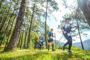 BIB: 
                            <button type="button" onclick="openModal(19289223)" class="btn btn-primary btn-sm float-right btn-popup" data-toggle="modal" data-target=".modal-high-quality">
                        <i class="fas fa-shopping-cart"></i> Add to Cart
                    </button>
                                            <button type="button" onclick="isThisMe(19289223, true)" class="btn btn-success btn-sm float-right btn-popup btn-isme hidden" data-toggle="tooltip" data-placement="bottom" title="นี่คือรูปของคุณใช่ไหม คลิกที่นี่เพื่อเอาเข้าอัลบั้ม">
                        <i class="fas fa-plus"></i> Add to album
                    </button>
                    <button type="button" onclick="isThisMe(19289223, false)" class="btn btn-warning btn-sm float-right btn-popup btn-isnotme hidden">
                        <i class="fas fa-ban"></i> Remove from album
                    </button>