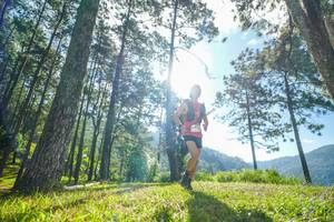 BIB: 
                            <button type="button" onclick="openModal(19280174)" class="btn btn-primary btn-sm float-right btn-popup" data-toggle="modal" data-target=".modal-high-quality">
                        <i class="fas fa-shopping-cart"></i> Add to Cart
                    </button>
                                            <button type="button" onclick="isThisMe(19280174, true)" class="btn btn-success btn-sm float-right btn-popup btn-isme hidden" data-toggle="tooltip" data-placement="bottom" title="นี่คือรูปของคุณใช่ไหม คลิกที่นี่เพื่อเอาเข้าอัลบั้ม">
                        <i class="fas fa-plus"></i> Add to album
                    </button>
                    <button type="button" onclick="isThisMe(19280174, false)" class="btn btn-warning btn-sm float-right btn-popup btn-isnotme hidden">
                        <i class="fas fa-ban"></i> Remove from album
                    </button>