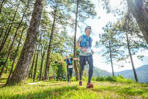 BIB: 
                            <button type="button" onclick="openModal(19289042)" class="btn btn-primary btn-sm float-right btn-popup" data-toggle="modal" data-target=".modal-high-quality">
                        <i class="fas fa-shopping-cart"></i> Add to Cart
                    </button>
                                            <button type="button" onclick="isThisMe(19289042, true)" class="btn btn-success btn-sm float-right btn-popup btn-isme hidden" data-toggle="tooltip" data-placement="bottom" title="นี่คือรูปของคุณใช่ไหม คลิกที่นี่เพื่อเอาเข้าอัลบั้ม">
                        <i class="fas fa-plus"></i> Add to album
                    </button>
                    <button type="button" onclick="isThisMe(19289042, false)" class="btn btn-warning btn-sm float-right btn-popup btn-isnotme hidden">
                        <i class="fas fa-ban"></i> Remove from album
                    </button>