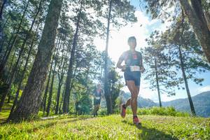 BIB: 
                            <button type="button" onclick="openModal(19280469)" class="btn btn-primary btn-sm float-right btn-popup" data-toggle="modal" data-target=".modal-high-quality">
                        <i class="fas fa-shopping-cart"></i> Add to Cart
                    </button>
                                            <button type="button" onclick="isThisMe(19280469, true)" class="btn btn-success btn-sm float-right btn-popup btn-isme hidden" data-toggle="tooltip" data-placement="bottom" title="นี่คือรูปของคุณใช่ไหม คลิกที่นี่เพื่อเอาเข้าอัลบั้ม">
                        <i class="fas fa-plus"></i> Add to album
                    </button>
                    <button type="button" onclick="isThisMe(19280469, false)" class="btn btn-warning btn-sm float-right btn-popup btn-isnotme hidden">
                        <i class="fas fa-ban"></i> Remove from album
                    </button>