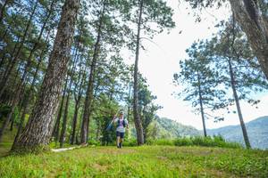 BIB: 
                            <button type="button" onclick="openModal(19287587)" class="btn btn-primary btn-sm float-right btn-popup" data-toggle="modal" data-target=".modal-high-quality">
                        <i class="fas fa-shopping-cart"></i> Add to Cart
                    </button>
                                            <button type="button" onclick="isThisMe(19287587, true)" class="btn btn-success btn-sm float-right btn-popup btn-isme hidden" data-toggle="tooltip" data-placement="bottom" title="นี่คือรูปของคุณใช่ไหม คลิกที่นี่เพื่อเอาเข้าอัลบั้ม">
                        <i class="fas fa-plus"></i> Add to album
                    </button>
                    <button type="button" onclick="isThisMe(19287587, false)" class="btn btn-warning btn-sm float-right btn-popup btn-isnotme hidden">
                        <i class="fas fa-ban"></i> Remove from album
                    </button>