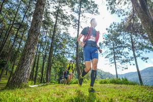 BIB: 
                            <button type="button" onclick="openModal(19283152)" class="btn btn-primary btn-sm float-right btn-popup" data-toggle="modal" data-target=".modal-high-quality">
                        <i class="fas fa-shopping-cart"></i> Add to Cart
                    </button>
                                            <button type="button" onclick="isThisMe(19283152, true)" class="btn btn-success btn-sm float-right btn-popup btn-isme hidden" data-toggle="tooltip" data-placement="bottom" title="นี่คือรูปของคุณใช่ไหม คลิกที่นี่เพื่อเอาเข้าอัลบั้ม">
                        <i class="fas fa-plus"></i> Add to album
                    </button>
                    <button type="button" onclick="isThisMe(19283152, false)" class="btn btn-warning btn-sm float-right btn-popup btn-isnotme hidden">
                        <i class="fas fa-ban"></i> Remove from album
                    </button>