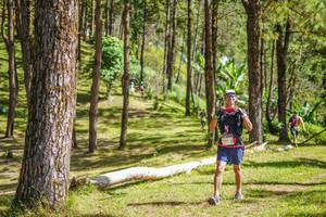 BIB: 191, 
                            <button type="button" onclick="openModal(19291799)" class="btn btn-primary btn-sm float-right btn-popup" data-toggle="modal" data-target=".modal-high-quality">
                        <i class="fas fa-shopping-cart"></i> Add to Cart
                    </button>
                                            <button type="button" onclick="isThisMe(19291799, true)" class="btn btn-success btn-sm float-right btn-popup btn-isme hidden" data-toggle="tooltip" data-placement="bottom" title="นี่คือรูปของคุณใช่ไหม คลิกที่นี่เพื่อเอาเข้าอัลบั้ม">
                        <i class="fas fa-plus"></i> Add to album
                    </button>
                    <button type="button" onclick="isThisMe(19291799, false)" class="btn btn-warning btn-sm float-right btn-popup btn-isnotme hidden">
                        <i class="fas fa-ban"></i> Remove from album
                    </button>