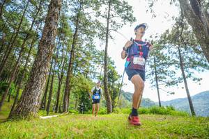 BIB: 
                            <button type="button" onclick="openModal(19288436)" class="btn btn-primary btn-sm float-right btn-popup" data-toggle="modal" data-target=".modal-high-quality">
                        <i class="fas fa-shopping-cart"></i> Add to Cart
                    </button>
                                            <button type="button" onclick="isThisMe(19288436, true)" class="btn btn-success btn-sm float-right btn-popup btn-isme hidden" data-toggle="tooltip" data-placement="bottom" title="นี่คือรูปของคุณใช่ไหม คลิกที่นี่เพื่อเอาเข้าอัลบั้ม">
                        <i class="fas fa-plus"></i> Add to album
                    </button>
                    <button type="button" onclick="isThisMe(19288436, false)" class="btn btn-warning btn-sm float-right btn-popup btn-isnotme hidden">
                        <i class="fas fa-ban"></i> Remove from album
                    </button>