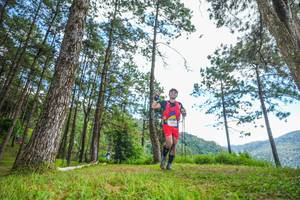 BIB: 
                            <button type="button" onclick="openModal(19288135)" class="btn btn-primary btn-sm float-right btn-popup" data-toggle="modal" data-target=".modal-high-quality">
                        <i class="fas fa-shopping-cart"></i> Add to Cart
                    </button>
                                            <button type="button" onclick="isThisMe(19288135, true)" class="btn btn-success btn-sm float-right btn-popup btn-isme hidden" data-toggle="tooltip" data-placement="bottom" title="นี่คือรูปของคุณใช่ไหม คลิกที่นี่เพื่อเอาเข้าอัลบั้ม">
                        <i class="fas fa-plus"></i> Add to album
                    </button>
                    <button type="button" onclick="isThisMe(19288135, false)" class="btn btn-warning btn-sm float-right btn-popup btn-isnotme hidden">
                        <i class="fas fa-ban"></i> Remove from album
                    </button>