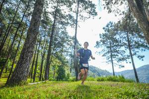 BIB: 
                            <button type="button" onclick="openModal(19280723)" class="btn btn-primary btn-sm float-right btn-popup" data-toggle="modal" data-target=".modal-high-quality">
                        <i class="fas fa-shopping-cart"></i> Add to Cart
                    </button>
                                            <button type="button" onclick="isThisMe(19280723, true)" class="btn btn-success btn-sm float-right btn-popup btn-isme hidden" data-toggle="tooltip" data-placement="bottom" title="นี่คือรูปของคุณใช่ไหม คลิกที่นี่เพื่อเอาเข้าอัลบั้ม">
                        <i class="fas fa-plus"></i> Add to album
                    </button>
                    <button type="button" onclick="isThisMe(19280723, false)" class="btn btn-warning btn-sm float-right btn-popup btn-isnotme hidden">
                        <i class="fas fa-ban"></i> Remove from album
                    </button>