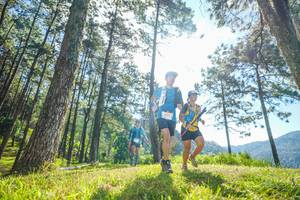 BIB: 
                            <button type="button" onclick="openModal(19281055)" class="btn btn-primary btn-sm float-right btn-popup" data-toggle="modal" data-target=".modal-high-quality">
                        <i class="fas fa-shopping-cart"></i> Add to Cart
                    </button>
                                            <button type="button" onclick="isThisMe(19281055, true)" class="btn btn-success btn-sm float-right btn-popup btn-isme hidden" data-toggle="tooltip" data-placement="bottom" title="นี่คือรูปของคุณใช่ไหม คลิกที่นี่เพื่อเอาเข้าอัลบั้ม">
                        <i class="fas fa-plus"></i> Add to album
                    </button>
                    <button type="button" onclick="isThisMe(19281055, false)" class="btn btn-warning btn-sm float-right btn-popup btn-isnotme hidden">
                        <i class="fas fa-ban"></i> Remove from album
                    </button>