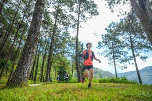 BIB: 
                            <button type="button" onclick="openModal(19285667)" class="btn btn-primary btn-sm float-right btn-popup" data-toggle="modal" data-target=".modal-high-quality">
                        <i class="fas fa-shopping-cart"></i> Add to Cart
                    </button>
                                            <button type="button" onclick="isThisMe(19285667, true)" class="btn btn-success btn-sm float-right btn-popup btn-isme hidden" data-toggle="tooltip" data-placement="bottom" title="นี่คือรูปของคุณใช่ไหม คลิกที่นี่เพื่อเอาเข้าอัลบั้ม">
                        <i class="fas fa-plus"></i> Add to album
                    </button>
                    <button type="button" onclick="isThisMe(19285667, false)" class="btn btn-warning btn-sm float-right btn-popup btn-isnotme hidden">
                        <i class="fas fa-ban"></i> Remove from album
                    </button>