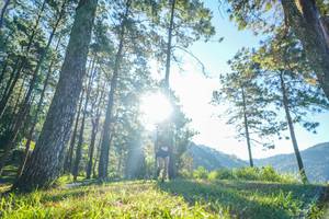 BIB: 
                            <button type="button" onclick="openModal(19278833)" class="btn btn-primary btn-sm float-right btn-popup" data-toggle="modal" data-target=".modal-high-quality">
                        <i class="fas fa-shopping-cart"></i> Add to Cart
                    </button>
                                            <button type="button" onclick="isThisMe(19278833, true)" class="btn btn-success btn-sm float-right btn-popup btn-isme hidden" data-toggle="tooltip" data-placement="bottom" title="นี่คือรูปของคุณใช่ไหม คลิกที่นี่เพื่อเอาเข้าอัลบั้ม">
                        <i class="fas fa-plus"></i> Add to album
                    </button>
                    <button type="button" onclick="isThisMe(19278833, false)" class="btn btn-warning btn-sm float-right btn-popup btn-isnotme hidden">
                        <i class="fas fa-ban"></i> Remove from album
                    </button>