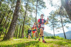 BIB: 
                            <button type="button" onclick="openModal(19289078)" class="btn btn-primary btn-sm float-right btn-popup" data-toggle="modal" data-target=".modal-high-quality">
                        <i class="fas fa-shopping-cart"></i> Add to Cart
                    </button>
                                            <button type="button" onclick="isThisMe(19289078, true)" class="btn btn-success btn-sm float-right btn-popup btn-isme hidden" data-toggle="tooltip" data-placement="bottom" title="นี่คือรูปของคุณใช่ไหม คลิกที่นี่เพื่อเอาเข้าอัลบั้ม">
                        <i class="fas fa-plus"></i> Add to album
                    </button>
                    <button type="button" onclick="isThisMe(19289078, false)" class="btn btn-warning btn-sm float-right btn-popup btn-isnotme hidden">
                        <i class="fas fa-ban"></i> Remove from album
                    </button>