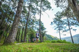 BIB: 
                            <button type="button" onclick="openModal(19287997)" class="btn btn-primary btn-sm float-right btn-popup" data-toggle="modal" data-target=".modal-high-quality">
                        <i class="fas fa-shopping-cart"></i> Add to Cart
                    </button>
                                            <button type="button" onclick="isThisMe(19287997, true)" class="btn btn-success btn-sm float-right btn-popup btn-isme hidden" data-toggle="tooltip" data-placement="bottom" title="นี่คือรูปของคุณใช่ไหม คลิกที่นี่เพื่อเอาเข้าอัลบั้ม">
                        <i class="fas fa-plus"></i> Add to album
                    </button>
                    <button type="button" onclick="isThisMe(19287997, false)" class="btn btn-warning btn-sm float-right btn-popup btn-isnotme hidden">
                        <i class="fas fa-ban"></i> Remove from album
                    </button>