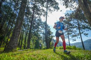 BIB: 
                            <button type="button" onclick="openModal(19280600)" class="btn btn-primary btn-sm float-right btn-popup" data-toggle="modal" data-target=".modal-high-quality">
                        <i class="fas fa-shopping-cart"></i> Add to Cart
                    </button>
                                            <button type="button" onclick="isThisMe(19280600, true)" class="btn btn-success btn-sm float-right btn-popup btn-isme hidden" data-toggle="tooltip" data-placement="bottom" title="นี่คือรูปของคุณใช่ไหม คลิกที่นี่เพื่อเอาเข้าอัลบั้ม">
                        <i class="fas fa-plus"></i> Add to album
                    </button>
                    <button type="button" onclick="isThisMe(19280600, false)" class="btn btn-warning btn-sm float-right btn-popup btn-isnotme hidden">
                        <i class="fas fa-ban"></i> Remove from album
                    </button>