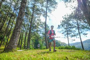 BIB: 
                            <button type="button" onclick="openModal(19285044)" class="btn btn-primary btn-sm float-right btn-popup" data-toggle="modal" data-target=".modal-high-quality">
                        <i class="fas fa-shopping-cart"></i> Add to Cart
                    </button>
                                            <button type="button" onclick="isThisMe(19285044, true)" class="btn btn-success btn-sm float-right btn-popup btn-isme hidden" data-toggle="tooltip" data-placement="bottom" title="นี่คือรูปของคุณใช่ไหม คลิกที่นี่เพื่อเอาเข้าอัลบั้ม">
                        <i class="fas fa-plus"></i> Add to album
                    </button>
                    <button type="button" onclick="isThisMe(19285044, false)" class="btn btn-warning btn-sm float-right btn-popup btn-isnotme hidden">
                        <i class="fas fa-ban"></i> Remove from album
                    </button>