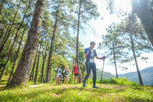 BIB: 
                            <button type="button" onclick="openModal(19290495)" class="btn btn-primary btn-sm float-right btn-popup" data-toggle="modal" data-target=".modal-high-quality">
                        <i class="fas fa-shopping-cart"></i> Add to Cart
                    </button>
                                            <button type="button" onclick="isThisMe(19290495, true)" class="btn btn-success btn-sm float-right btn-popup btn-isme hidden" data-toggle="tooltip" data-placement="bottom" title="นี่คือรูปของคุณใช่ไหม คลิกที่นี่เพื่อเอาเข้าอัลบั้ม">
                        <i class="fas fa-plus"></i> Add to album
                    </button>
                    <button type="button" onclick="isThisMe(19290495, false)" class="btn btn-warning btn-sm float-right btn-popup btn-isnotme hidden">
                        <i class="fas fa-ban"></i> Remove from album
                    </button>