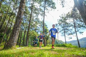 BIB: 
                            <button type="button" onclick="openModal(19290154)" class="btn btn-primary btn-sm float-right btn-popup" data-toggle="modal" data-target=".modal-high-quality">
                        <i class="fas fa-shopping-cart"></i> Add to Cart
                    </button>
                                            <button type="button" onclick="isThisMe(19290154, true)" class="btn btn-success btn-sm float-right btn-popup btn-isme hidden" data-toggle="tooltip" data-placement="bottom" title="นี่คือรูปของคุณใช่ไหม คลิกที่นี่เพื่อเอาเข้าอัลบั้ม">
                        <i class="fas fa-plus"></i> Add to album
                    </button>
                    <button type="button" onclick="isThisMe(19290154, false)" class="btn btn-warning btn-sm float-right btn-popup btn-isnotme hidden">
                        <i class="fas fa-ban"></i> Remove from album
                    </button>