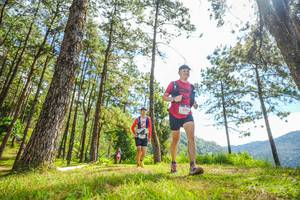 BIB: 
                            <button type="button" onclick="openModal(19289689)" class="btn btn-primary btn-sm float-right btn-popup" data-toggle="modal" data-target=".modal-high-quality">
                        <i class="fas fa-shopping-cart"></i> Add to Cart
                    </button>
                                            <button type="button" onclick="isThisMe(19289689, true)" class="btn btn-success btn-sm float-right btn-popup btn-isme hidden" data-toggle="tooltip" data-placement="bottom" title="นี่คือรูปของคุณใช่ไหม คลิกที่นี่เพื่อเอาเข้าอัลบั้ม">
                        <i class="fas fa-plus"></i> Add to album
                    </button>
                    <button type="button" onclick="isThisMe(19289689, false)" class="btn btn-warning btn-sm float-right btn-popup btn-isnotme hidden">
                        <i class="fas fa-ban"></i> Remove from album
                    </button>