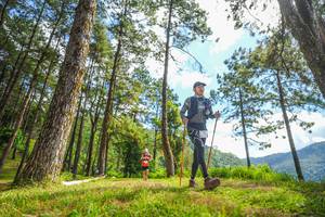 BIB: 
                            <button type="button" onclick="openModal(19291495)" class="btn btn-primary btn-sm float-right btn-popup" data-toggle="modal" data-target=".modal-high-quality">
                        <i class="fas fa-shopping-cart"></i> Add to Cart
                    </button>
                                            <button type="button" onclick="isThisMe(19291495, true)" class="btn btn-success btn-sm float-right btn-popup btn-isme hidden" data-toggle="tooltip" data-placement="bottom" title="นี่คือรูปของคุณใช่ไหม คลิกที่นี่เพื่อเอาเข้าอัลบั้ม">
                        <i class="fas fa-plus"></i> Add to album
                    </button>
                    <button type="button" onclick="isThisMe(19291495, false)" class="btn btn-warning btn-sm float-right btn-popup btn-isnotme hidden">
                        <i class="fas fa-ban"></i> Remove from album
                    </button>