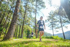 BIB: 3425
                            <button type="button" onclick="openModal(19290455)" class="btn btn-primary btn-sm float-right btn-popup" data-toggle="modal" data-target=".modal-high-quality">
                        <i class="fas fa-shopping-cart"></i> Add to Cart
                    </button>
                                            <button type="button" onclick="isThisMe(19290455, true)" class="btn btn-success btn-sm float-right btn-popup btn-isme hidden" data-toggle="tooltip" data-placement="bottom" title="นี่คือรูปของคุณใช่ไหม คลิกที่นี่เพื่อเอาเข้าอัลบั้ม">
                        <i class="fas fa-plus"></i> Add to album
                    </button>
                    <button type="button" onclick="isThisMe(19290455, false)" class="btn btn-warning btn-sm float-right btn-popup btn-isnotme hidden">
                        <i class="fas fa-ban"></i> Remove from album
                    </button>