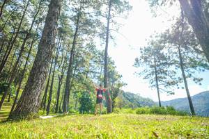 BIB: 
                            <button type="button" onclick="openModal(19284145)" class="btn btn-primary btn-sm float-right btn-popup" data-toggle="modal" data-target=".modal-high-quality">
                        <i class="fas fa-shopping-cart"></i> Add to Cart
                    </button>
                                            <button type="button" onclick="isThisMe(19284145, true)" class="btn btn-success btn-sm float-right btn-popup btn-isme hidden" data-toggle="tooltip" data-placement="bottom" title="นี่คือรูปของคุณใช่ไหม คลิกที่นี่เพื่อเอาเข้าอัลบั้ม">
                        <i class="fas fa-plus"></i> Add to album
                    </button>
                    <button type="button" onclick="isThisMe(19284145, false)" class="btn btn-warning btn-sm float-right btn-popup btn-isnotme hidden">
                        <i class="fas fa-ban"></i> Remove from album
                    </button>