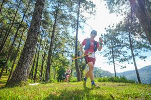 BIB: 
                            <button type="button" onclick="openModal(19284872)" class="btn btn-primary btn-sm float-right btn-popup" data-toggle="modal" data-target=".modal-high-quality">
                        <i class="fas fa-shopping-cart"></i> Add to Cart
                    </button>
                                            <button type="button" onclick="isThisMe(19284872, true)" class="btn btn-success btn-sm float-right btn-popup btn-isme hidden" data-toggle="tooltip" data-placement="bottom" title="นี่คือรูปของคุณใช่ไหม คลิกที่นี่เพื่อเอาเข้าอัลบั้ม">
                        <i class="fas fa-plus"></i> Add to album
                    </button>
                    <button type="button" onclick="isThisMe(19284872, false)" class="btn btn-warning btn-sm float-right btn-popup btn-isnotme hidden">
                        <i class="fas fa-ban"></i> Remove from album
                    </button>