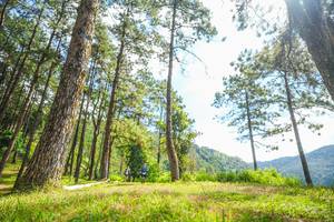 BIB: 
                            <button type="button" onclick="openModal(19290660)" class="btn btn-primary btn-sm float-right btn-popup" data-toggle="modal" data-target=".modal-high-quality">
                        <i class="fas fa-shopping-cart"></i> Add to Cart
                    </button>
                                            <button type="button" onclick="isThisMe(19290660, true)" class="btn btn-success btn-sm float-right btn-popup btn-isme hidden" data-toggle="tooltip" data-placement="bottom" title="นี่คือรูปของคุณใช่ไหม คลิกที่นี่เพื่อเอาเข้าอัลบั้ม">
                        <i class="fas fa-plus"></i> Add to album
                    </button>
                    <button type="button" onclick="isThisMe(19290660, false)" class="btn btn-warning btn-sm float-right btn-popup btn-isnotme hidden">
                        <i class="fas fa-ban"></i> Remove from album
                    </button>