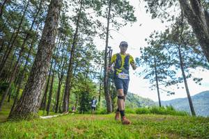 BIB: 
                            <button type="button" onclick="openModal(19287702)" class="btn btn-primary btn-sm float-right btn-popup" data-toggle="modal" data-target=".modal-high-quality">
                        <i class="fas fa-shopping-cart"></i> Add to Cart
                    </button>
                                            <button type="button" onclick="isThisMe(19287702, true)" class="btn btn-success btn-sm float-right btn-popup btn-isme hidden" data-toggle="tooltip" data-placement="bottom" title="นี่คือรูปของคุณใช่ไหม คลิกที่นี่เพื่อเอาเข้าอัลบั้ม">
                        <i class="fas fa-plus"></i> Add to album
                    </button>
                    <button type="button" onclick="isThisMe(19287702, false)" class="btn btn-warning btn-sm float-right btn-popup btn-isnotme hidden">
                        <i class="fas fa-ban"></i> Remove from album
                    </button>