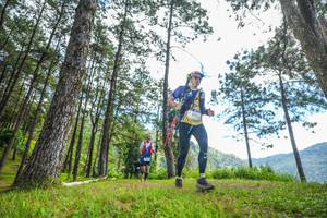 BIB: 
                            <button type="button" onclick="openModal(19288578)" class="btn btn-primary btn-sm float-right btn-popup" data-toggle="modal" data-target=".modal-high-quality">
                        <i class="fas fa-shopping-cart"></i> Add to Cart
                    </button>
                                            <button type="button" onclick="isThisMe(19288578, true)" class="btn btn-success btn-sm float-right btn-popup btn-isme hidden" data-toggle="tooltip" data-placement="bottom" title="นี่คือรูปของคุณใช่ไหม คลิกที่นี่เพื่อเอาเข้าอัลบั้ม">
                        <i class="fas fa-plus"></i> Add to album
                    </button>
                    <button type="button" onclick="isThisMe(19288578, false)" class="btn btn-warning btn-sm float-right btn-popup btn-isnotme hidden">
                        <i class="fas fa-ban"></i> Remove from album
                    </button>